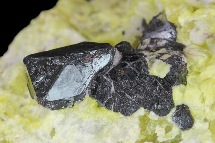Hematite Crystals in Lizardite & Hydrotalcite - Norway #133985